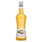 Licor Monin Fruta de la Pasion 70 cl
