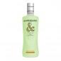 Ginebra Ampersand Melon 70 cl