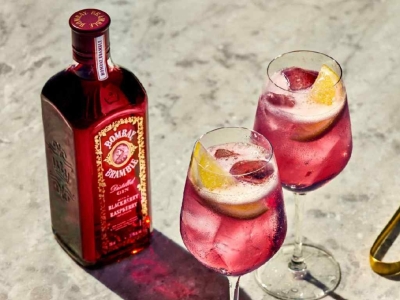 GINEBRA PARA LOS NO BEBEDORES DE GINEBRA